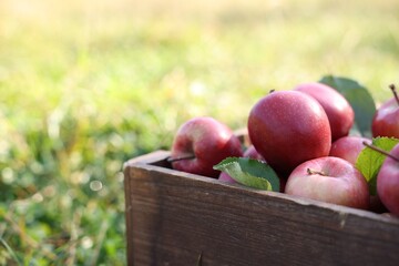 Fresh ripe apples in wooden crate outdoors, closeup. Space for text