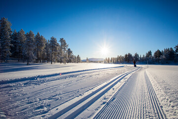 Ski expedition in Pallas Yllastunturi National Park , Lapland, Finland