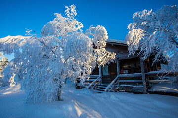 Ski expedition in Pallas Yllastunturi National Park , Lapland, Finland