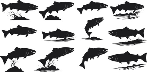 Silhouette illustration of fish swimming and jumping in water, aquatic animal design for fishing, marine wildlife, nature river lake vector concept