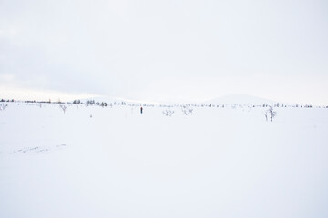 Ski expedition in Pallas Yllastunturi National Park , Lapland, Finland