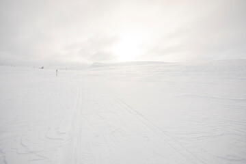 Winter landscape in Pallas Yllastunturi National Park, Lapland, Finland