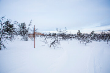 Ski expedition in Pallas Yllastunturi National Park , Lapland, Finland