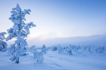 Winter landscape in Pallas Yllastunturi National Park, Lapland, Finland