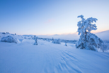 Winter landscape in Pallas Yllastunturi National Park, Lapland, Finland