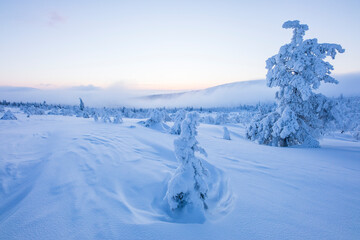 Winter landscape in Pallas Yllastunturi National Park, Lapland, Finland