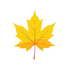 Autumn leaf vector design