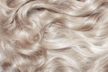 Blond hair close-up as a background. Women's long blonde hair. Beautifully styled wavy shiny curls. Hair coloring. Hairdressing procedures, extension. White hair