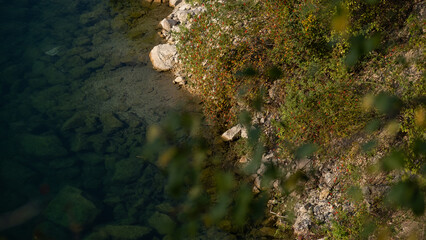 Rocky lake shore with clear water and autumn plants