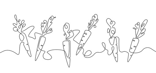 Carrots. Continuous line drawing art isolated  on a white background. Vector illustration.