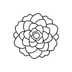 Outline drawing of a rosette