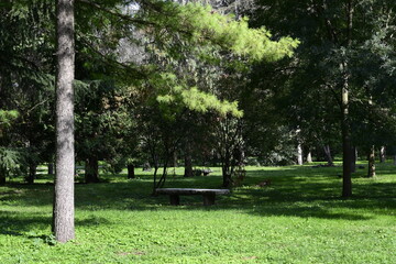 Parco cittadino