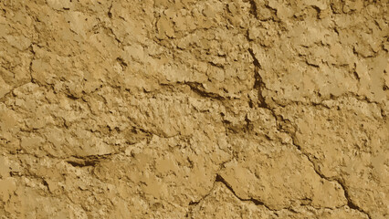 Ancient adobe wall texture background detail.
