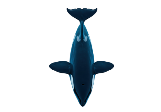 Orca whale PNG isolated on transparent background, killer whale top view for marine life and ocean conservation