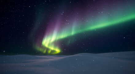 Obraz premium Celestial Dance: A mesmerizing display of the aurora borealis paints the night sky with vibrant hues above a snow-covered expanse, creating a sense of wonder and awe.