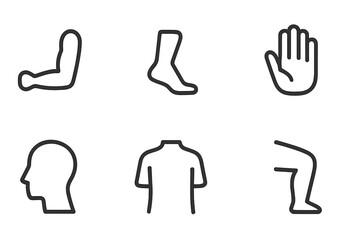 Obraz premium Body Movement Icons. Outline icon set of body movement parts: arm, leg, foot, hand, head, torso, shoulder, knee. Line icons in only black color, consistent