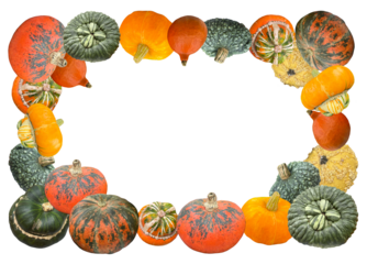 Rectangular frame with pumpkins. Autumn harvest border for greeting cards, Thanksgiving invitations, Halloween party posters, flyers, and seasonal design