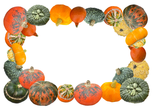 Rectangular frame with pumpkins. Autumn harvest border for greeting cards, Thanksgiving invitations, Halloween party posters, flyers, and seasonal design