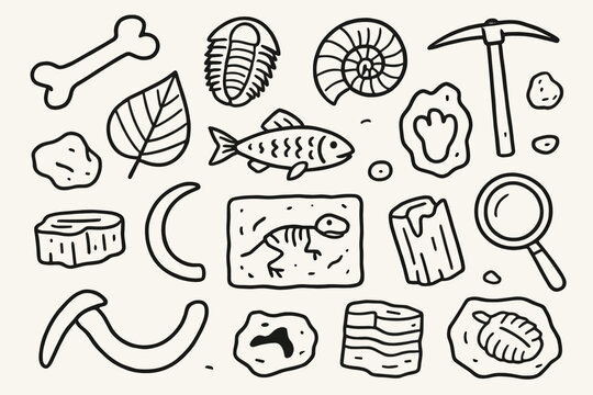Doodle Fossil Collection. Fossil remains. Hand-drawn doodle illustration fossil remains dinosaur bone, trilobite, ammonite, leaf imprint, fish fossil, mammoth