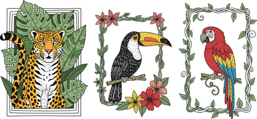 Framed tropical animals with jaguar, toucan, and parrot, vibrant jungle wildlife vector set for nature, travel, and decorative design themes © Vex flow