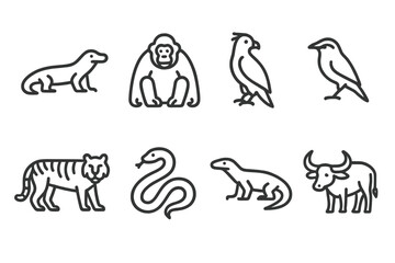 Indonesian Animal Icons. Outline icon set of Indonesian animals: Komodo dragon, orangutan, Javan hawk-eagle, Bali starling, tiger, python, monitor lizard,