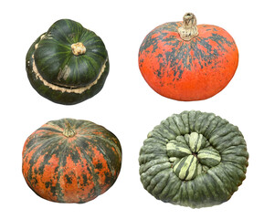 Set Of Four Decorative Pumpkins With Green And Orange Colors Isolated On Transparent Background For Autumn Harvest And Thanksgiving Design