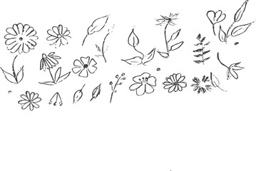 Hand Drawn Floral Sketches Set – Botanical Line Art Flowers and Leaves