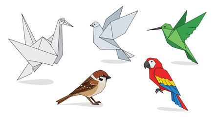 Origami Birds Collection Crane Dove Hummingbird Sparrow Parrot Artistic Paper Craft Assortment for Art Prints Decor Wildlife Themes