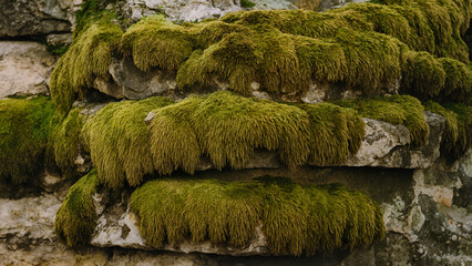 Moss-covered rock texture with uneven stone surfaces  