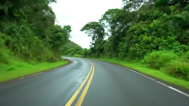 Winding road through lush green forest with overcast sky
