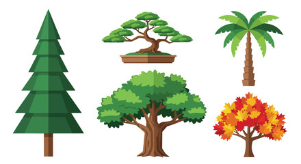 Collection of Diverse Vector Tree Illustrations Pine Bonsai Palm Oak Autumn Maple Nature Elements for Design