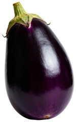 A single fresh purple eggplant standing upright on a clean white background, transparent background png