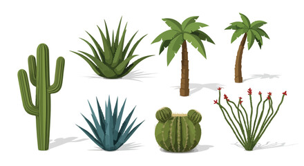 Desert Oasis Collection Vector Illustrations of Cacti Agave and Palm Trees on White Background