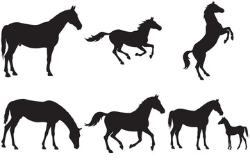image (Horse Silhouette Vector Collection – Standing, Galloping, Rearing, Grazing, Trotting, Foal