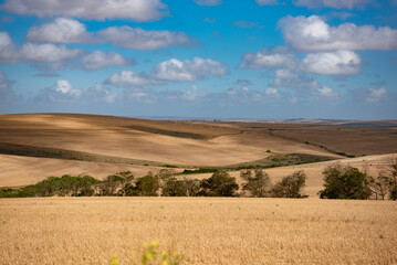 Obraz premium sud africa