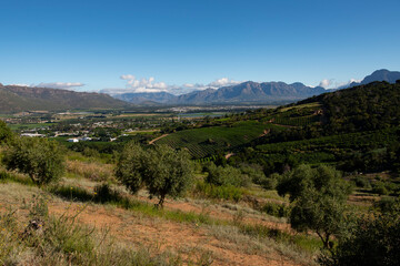 Fototapeta premium sud africa