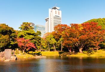 Obraz premium Koishikawa Korakuen garden in autumn, Tokyo, Japan