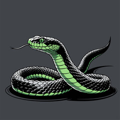illustration of a venomous snake in various colors 