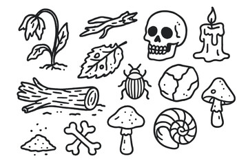 Symbols of Decay. Decay. Hand-drawn doodle illustration wilted flower, rotting leaf, broken branch, skull, cracked stone, melting candle, insect, mushroom,
