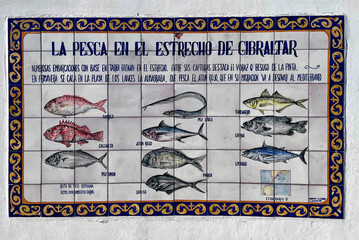 Traditionelle handbemalte Fliesenwand in Andalusien mit Abbildungen typischer Fische aus dem Mittelmeer und Atlantik, dekorative Kachelkunst in Tarifa am Estrecho de Gibraltar.