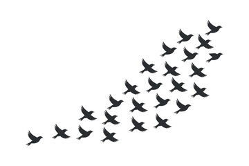 Small Birds Flying Formation Silhouette on Transparent
