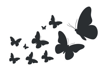 Butterfly Silhouette Compilation Isolated on Checkered Background