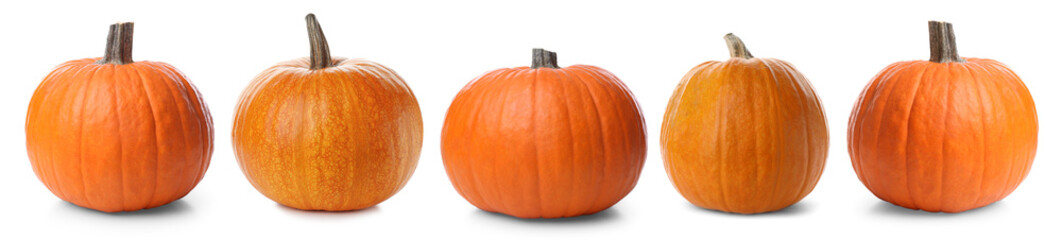 Fresh pumpkins isolated on white, set. Autumn vegetable