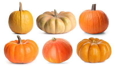 Fresh pumpkins isolated on white, set. Autumn vegetable