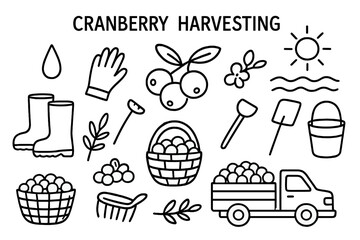 Cranberry Harvest Doodles. Hand-drawn doodle illustration Cranberry harvesting cranberry berries, basket, water droplet, boots, gloves, rake, leaves, twig,