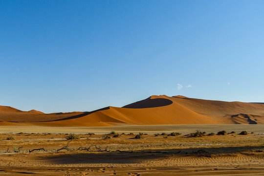 Deserto del namib