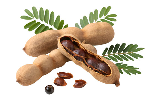 Ripe tamarind pods with seeds and green leaves on black background tamarindus indica fruit