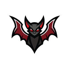 black cat on a white background