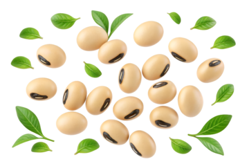 Scattered soybeans and green leaves on black background soy beans legumes