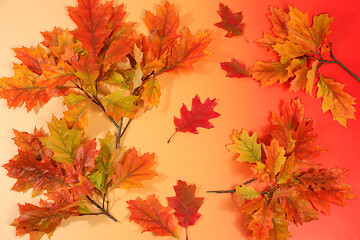 Autumn abstract composition with maple leaves on bright seasonal background, still life and Thanksgiving concept, screen banner and design template, greeting card and greeting, hello autumn.